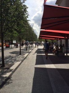 Walking south along 5th Avenue outside the Met