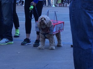 This one is carrying a replica of the Roosevelt Island Tram. Came second in its class. 